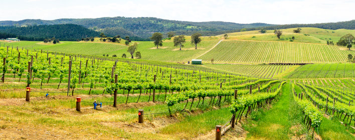 Barossa Valley
