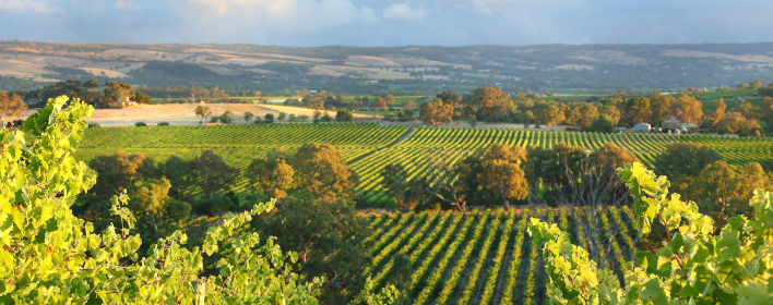 McLaren Vale McLaren Vale