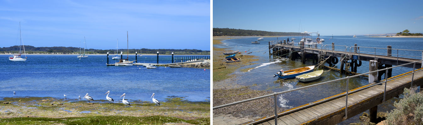 American River - Kangaroo Island