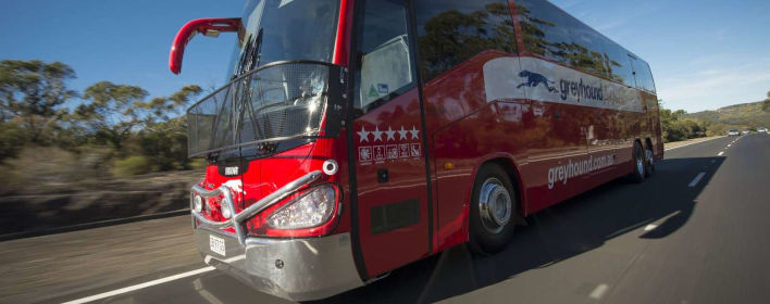 Greyhound Australia Greyhound Australia
